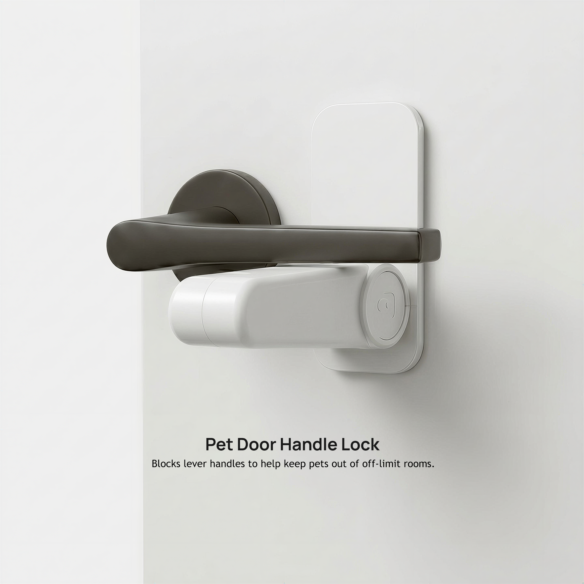 White pet door handle lock below a dark lever handle