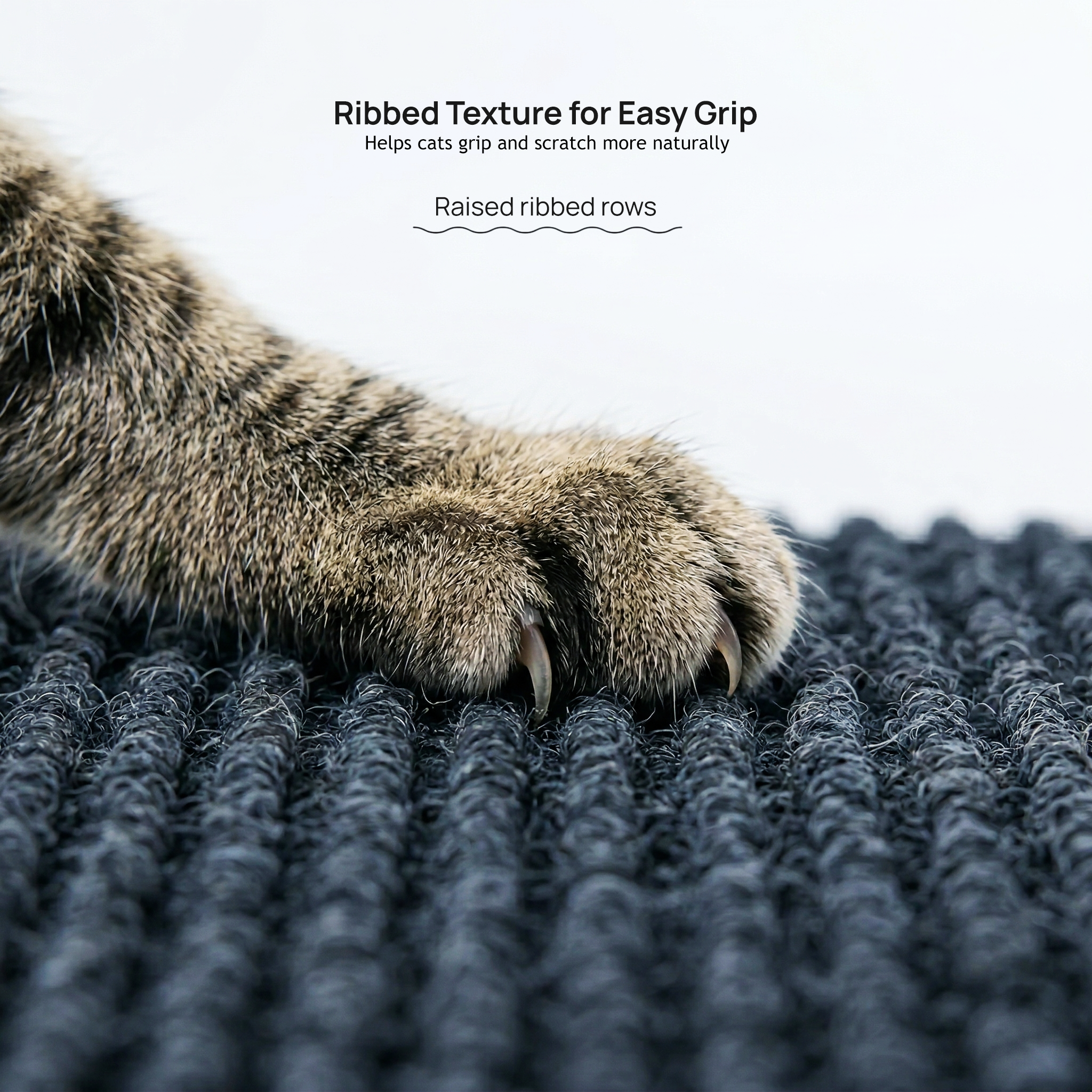 Close view of a cat paw and the raised rows of the scratching surface